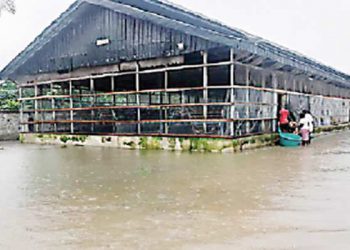 How floods ruined my N75m poultry, fish projects –Bayelsa farmer