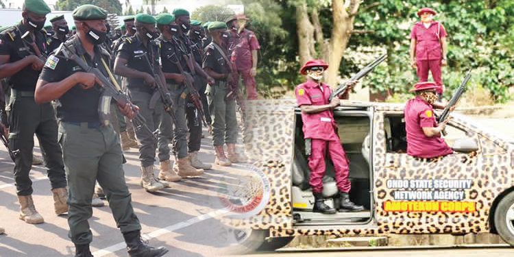 Kidnappings: Police, Amotekun comb South-West forests, 48 arrested