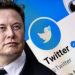 I will step down as Twitter CEO if… – Musk