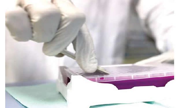 Travellers no longer require COVID-19 test- FG