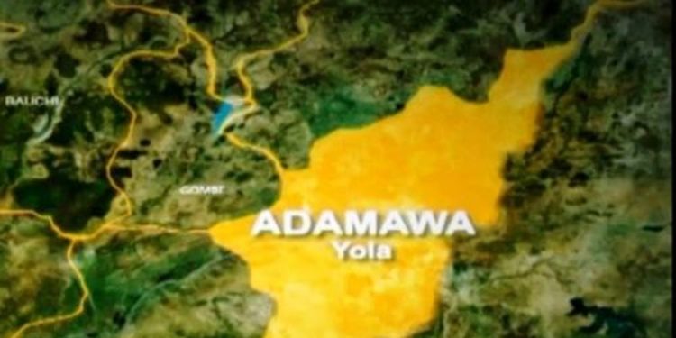 Expelled Adamawa senator not entitled to re-election – Court