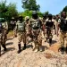 Forest Sanity: Troops neutralize 10 bandits