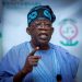 How powerful forces tried to stop Tinubu candidacy – APC vice chair