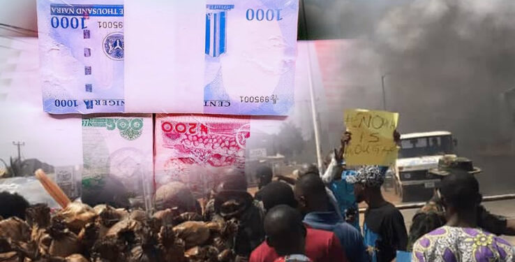 Naira crisis: DSS arrests lawmaker-elect over Sagamu mayhem