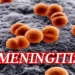 Meningitis kills 118 in 22 states — NCDC