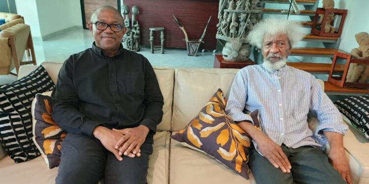 Reports Obi visited me for reconciliation inappropriate, diversionary — Soyinka