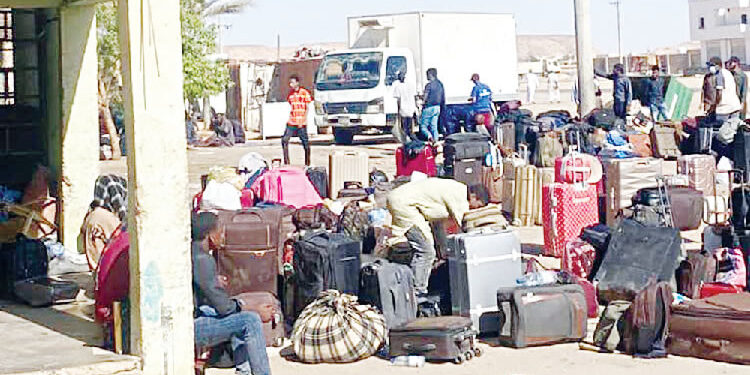 Evacuated Nigerians stranded at Egypt border, Gbajabiamila orders probe