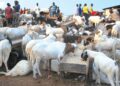 Sallah: I spent N1m settling at checkpoints between North, Cross River, says livestock dealer