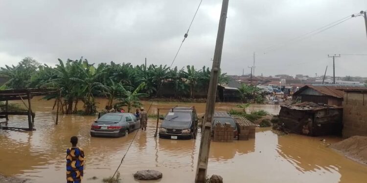 OMIYALE: Safe Our Souls— Ajibode, Other Communities Cry Out