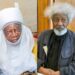 Emir’s ban on isese a crime against cultural heritage – Soyinka