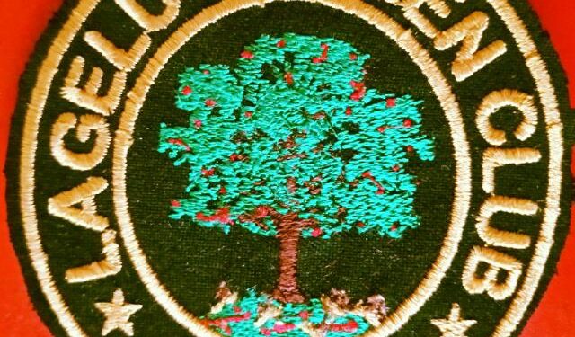 Lagelu 16,Club Re-elects Adegboyega Sanni, others as new executive members