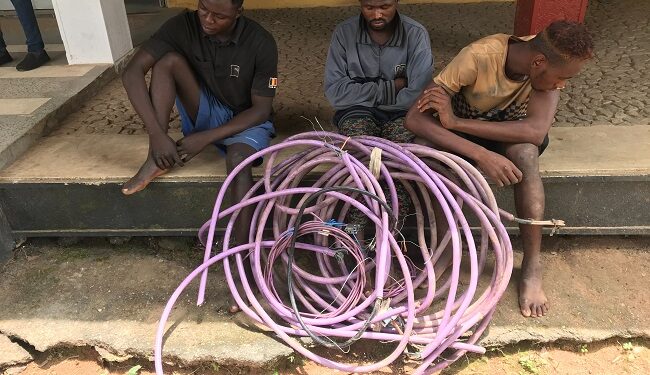 Oyo NSCDC Parades Togolese, Others For Allegedly Stealing Street Light Cable