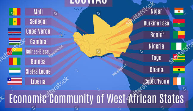 Experts Warn that ECOWAS Could Cease to Exist if It Falters in Niger