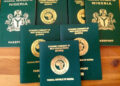 Federal Government Aims to Produce 24,000 Passports Daily, Clearing 200,000 Backlogs