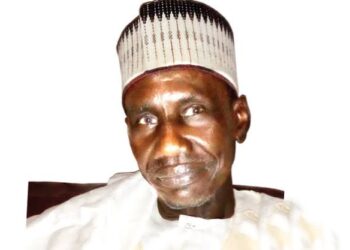 Analyst Warns Against Mocking Francophone Nations for Military Takeovers