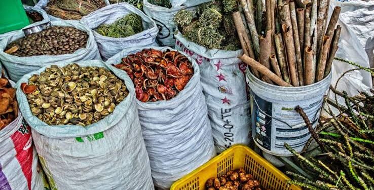 Lagos Registrar Highlights Traditional Medicine’s Vital Role in Achieving Universal Health Coverage