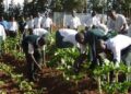 CEO Adeyemi Adeniji Encourages Youth in Agriculture