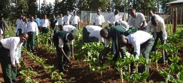 CEO Adeyemi Adeniji Encourages Youth in Agriculture