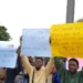 Increased tuition: OAU students block school entrance,  insist on 50% reduction