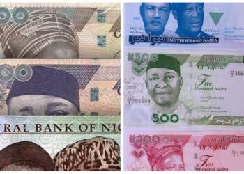 FG Appeals to Supreme Court for Review of Naira Notes’ Legal Tender Status