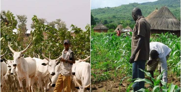 Oyo State Agriculture Stakeholders Rally for Unity Amidst Farmer-Herder Collaboration Talks