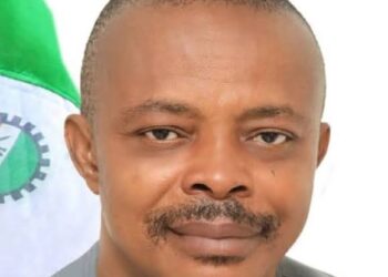 NLC Criticizes Government’s TCN Restructuring, Fears Power Sector Consequences