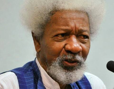 Wole Soyinka Decries Barbarization of Social Media in Nigeria, Urges Intellectual Intervention