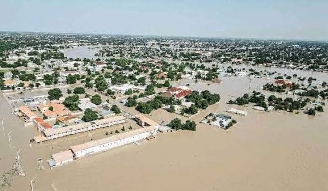 Federal Government Allocates ₦3 Billion Intervention Fund to Tackle Borno Flood Crisis